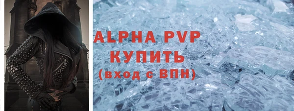 ГАЛЛЮЦИНОГЕННЫЕ ГРИБЫ Покачи