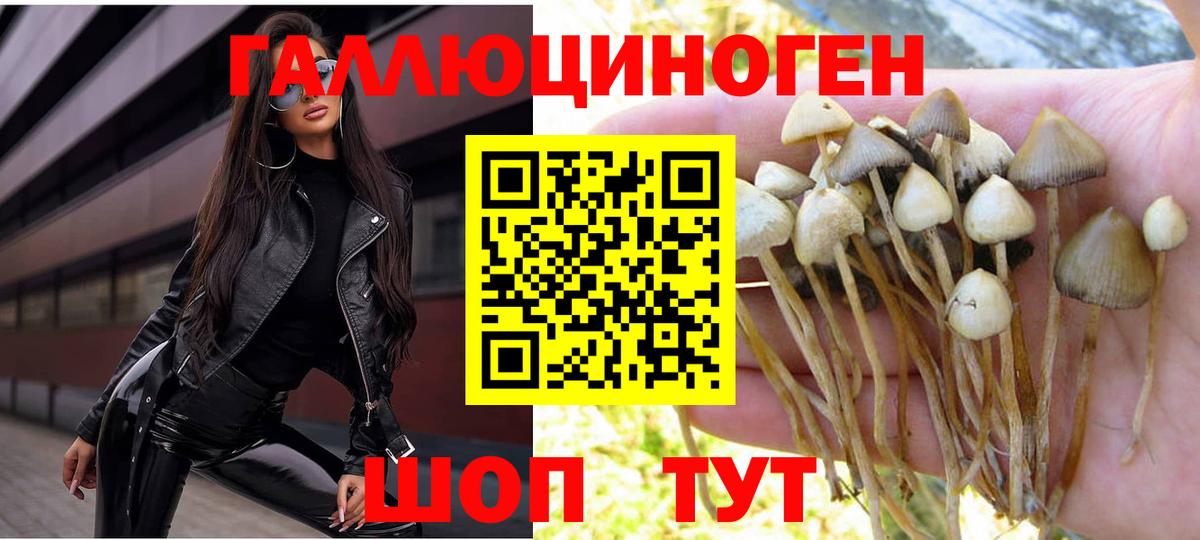Усть-Кут  где можно купить наркотик  Вход с VPN  Галлюциногенные грибы мухоморы 